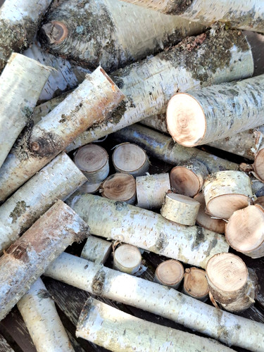 Holz birke lot für - lot, deko