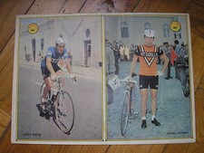 BITOSSI FILOTEX DANCELLI