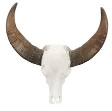 Wasserbüffelschädel Wanddeko