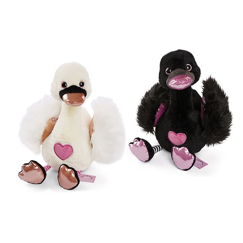 Nici love schwan - love, schwan,