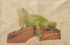 Kaffeesack  MOTIV ECHSE JUTESACK  SACK DEKO WINTERSCHUTZ