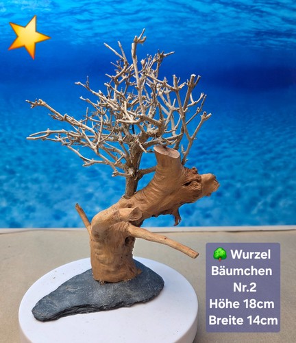 Aquarium wurzel bonsai - wurzel,