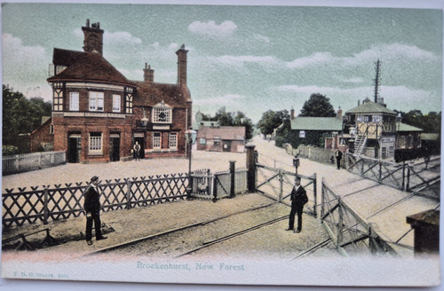 Brockenhurst new forest - brockenhurst,,