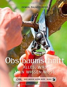 Das große kleine - , buch