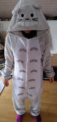 Mein nachbar totoro pyjama - nachbar,