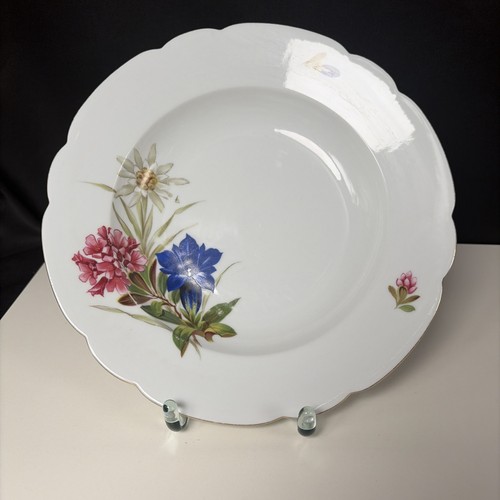 Teller enzian blüte - enzian,