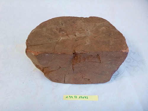 Bruyere bruyereholz knolle - bruyereholz,
