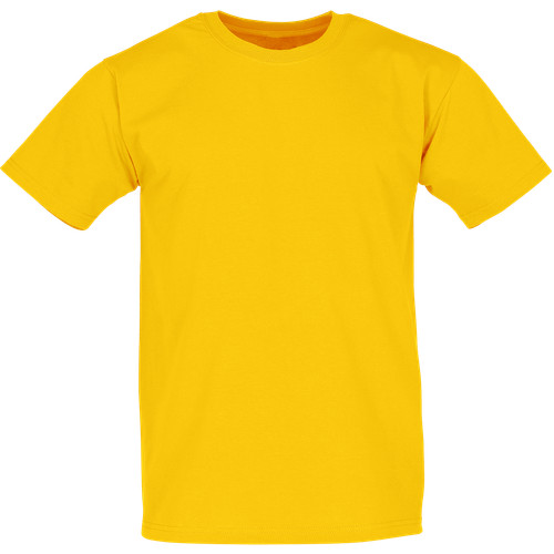 Fruit the loom shirt - of, t-shirt