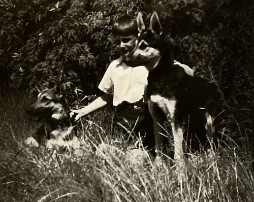 Junge kniet stolz zwischen