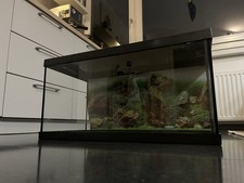 Eheim Aquarium 54l mit Filterpumpe und Heizstab