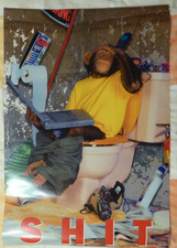 Poster Affe Schimpanse auf der