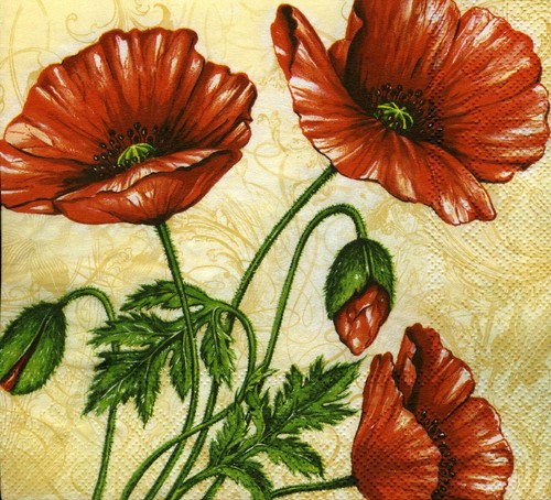 Servietten mohnblumen papier - mohnblumen,