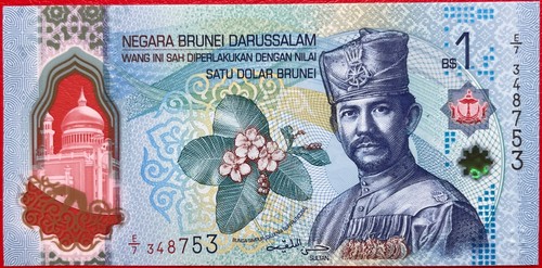 Brunei 1 dollar - 🇧🇳,