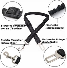 Anschnallgurt