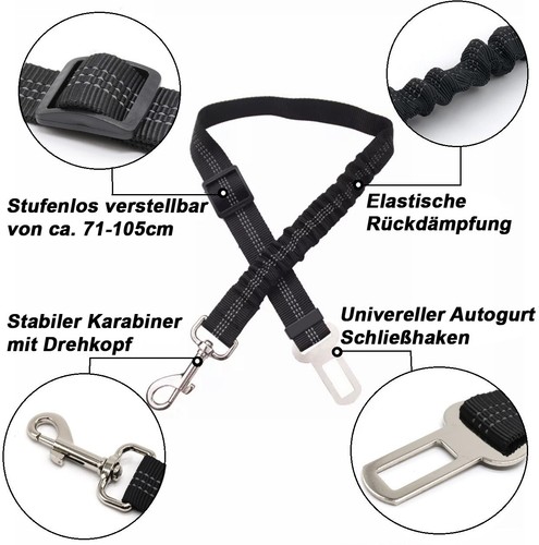 Anschnallgurt