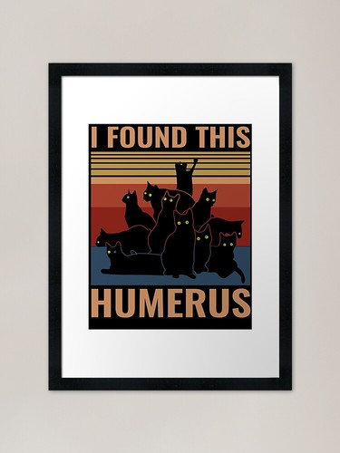 Found this humerus - found, cat