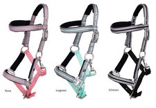 Fohlenhalfter gepolstert mit