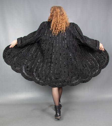 9720d amazing persian - amazing,