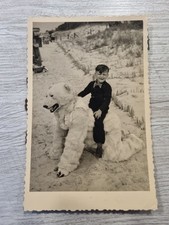 Zingst auf Rügen - Mann im