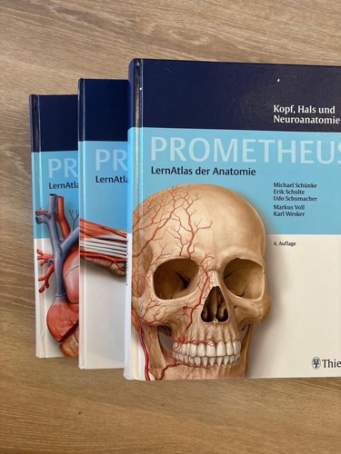 Prometheus lernatlas der - lernatlas,