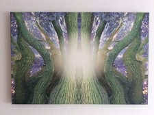 Leinwanddruck, 90x60x4, "Licht