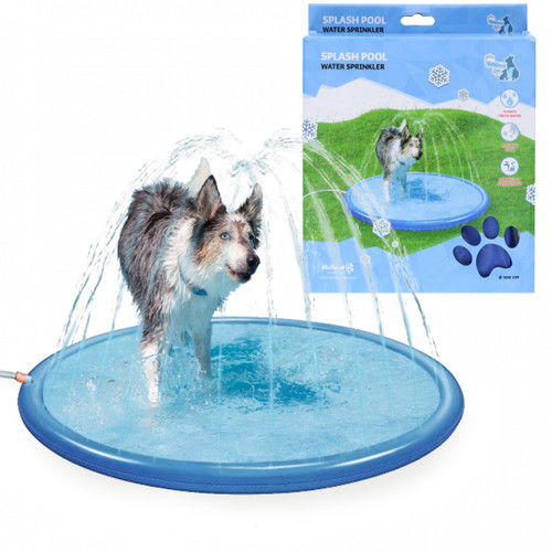 Pool für hunde planschbecken - pool,