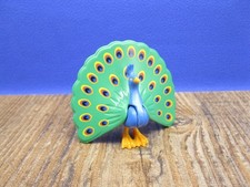 Pfau Tiere Tierpark ZOO Magic