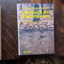 Scheffer, Schachtschnabel