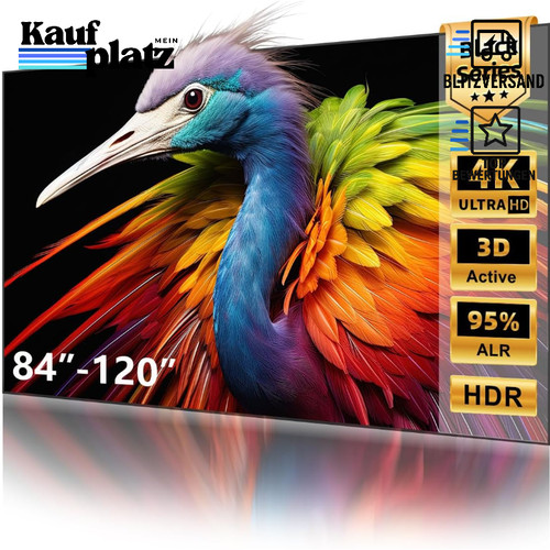 Beamer leinwand 100 - beamer, alr