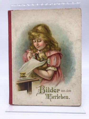Bilder aus dem - , tierleben
