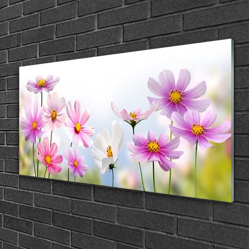 Glasbilder 100x50 wandbild - 100x50,
