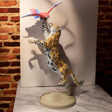 Jaguar Catching Scarlet Macaw