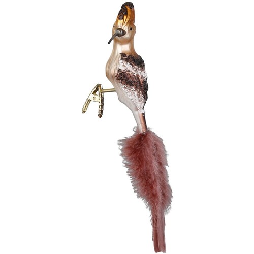Wiedehopf vogel glasvogel - vogel,