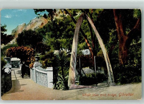 39653730 gibraltar eine - 39653730,