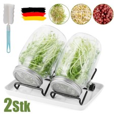 Sprossenglas Keimglas Sprossen