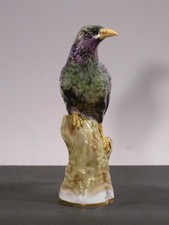 bü5/5  KPM Berlin  Vogel auf Ast sitzend