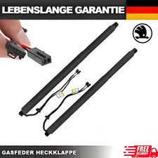 Original L+R Gasfeder