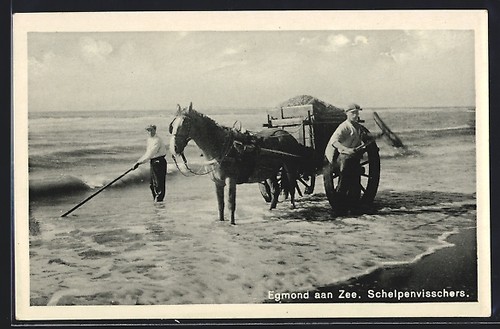 Egmond aan zee - egmond,