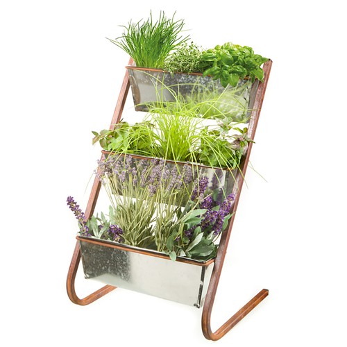 Pflanzregal aus eisen - pflanzregal,