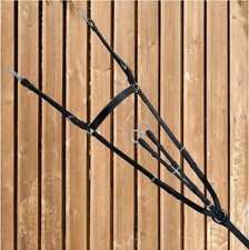 Euroriding Vorderzeug BRADFORD