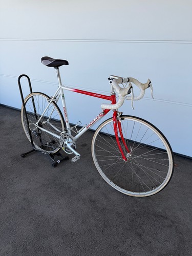 Rennrad zoll gazelle - 28, zoll,
