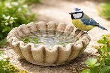 Vogeltränke Zement Vogelbad