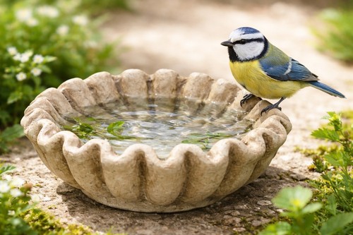 Vogeltränke zement vogelbad - vogeltränke,