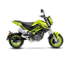 Komplette Auspuff Leovince