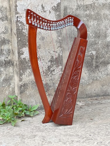 Palisander saiten irish - 19,