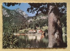 Alte AK-Hotel Fischer am See-Urfeld am Walchensee-ungelaufen-50er/60er Jahre