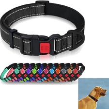 Hundehalsband, Neopren, Nylon
