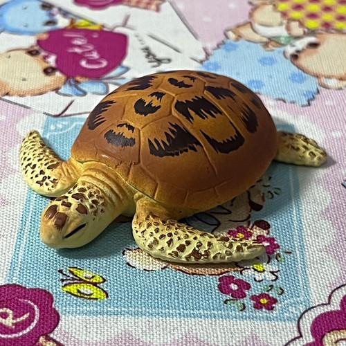 Echte japanische schlafende