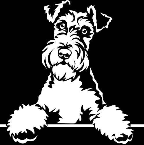 Foxterrier aufkleber - aufkleber,
