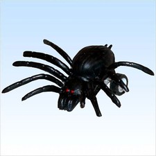 Laufende spinne mit - spinne, rückzug
